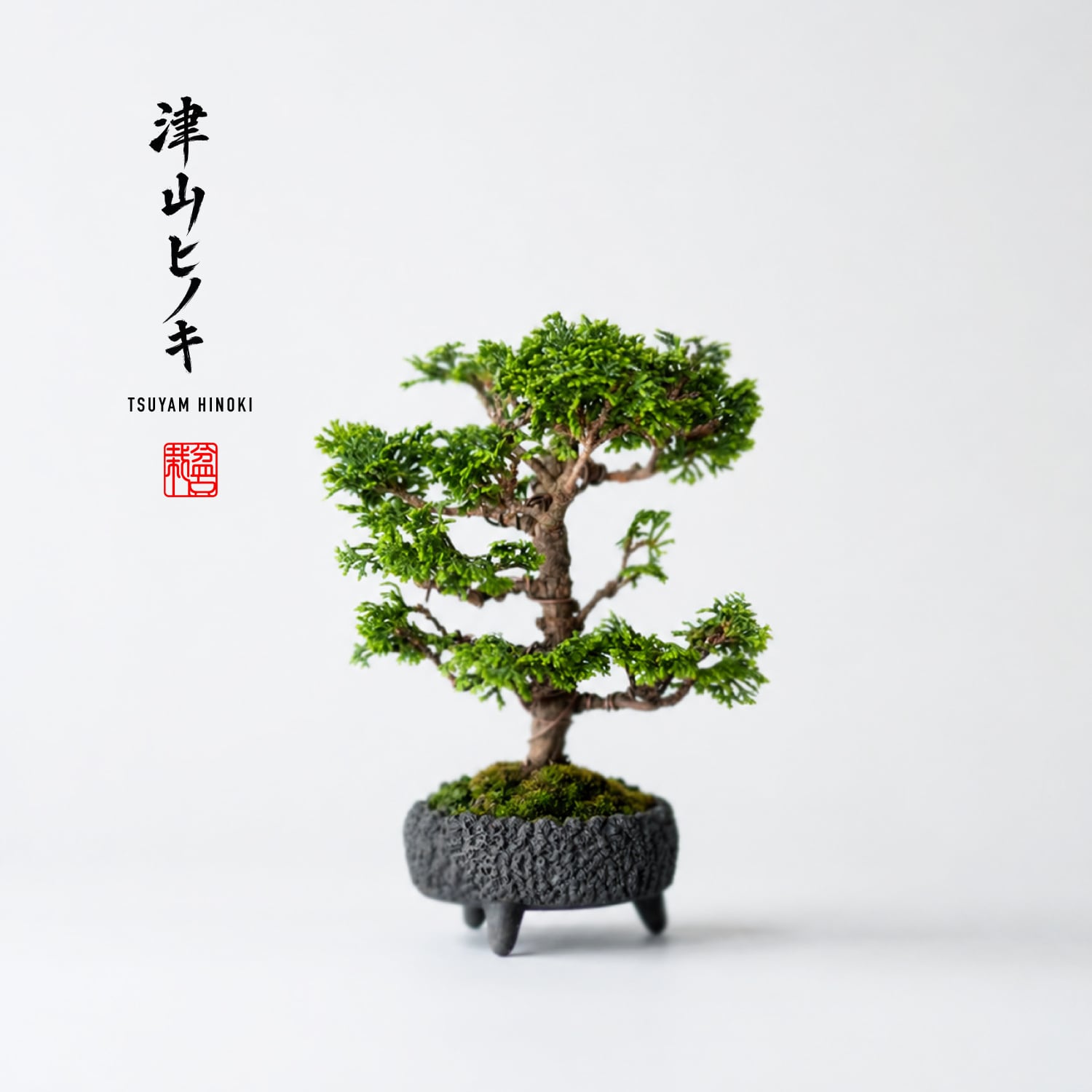 津山檜(ツヤマヒノキ)Sサイズ
