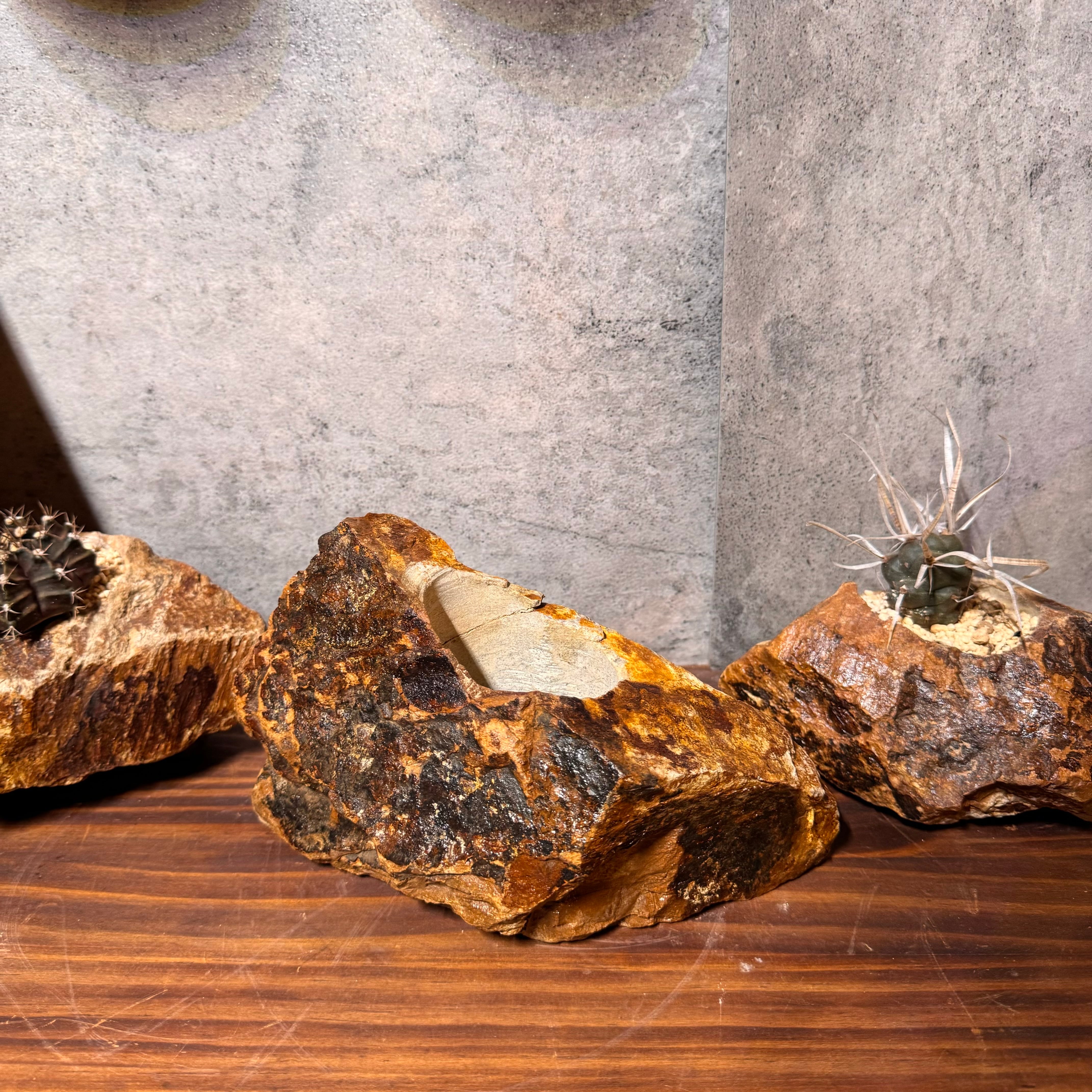 本鞍馬石水鉢　硬質なウブ石　みかん彫り 本鞍馬石水鉢 硬質なウブ石 みかん彫り