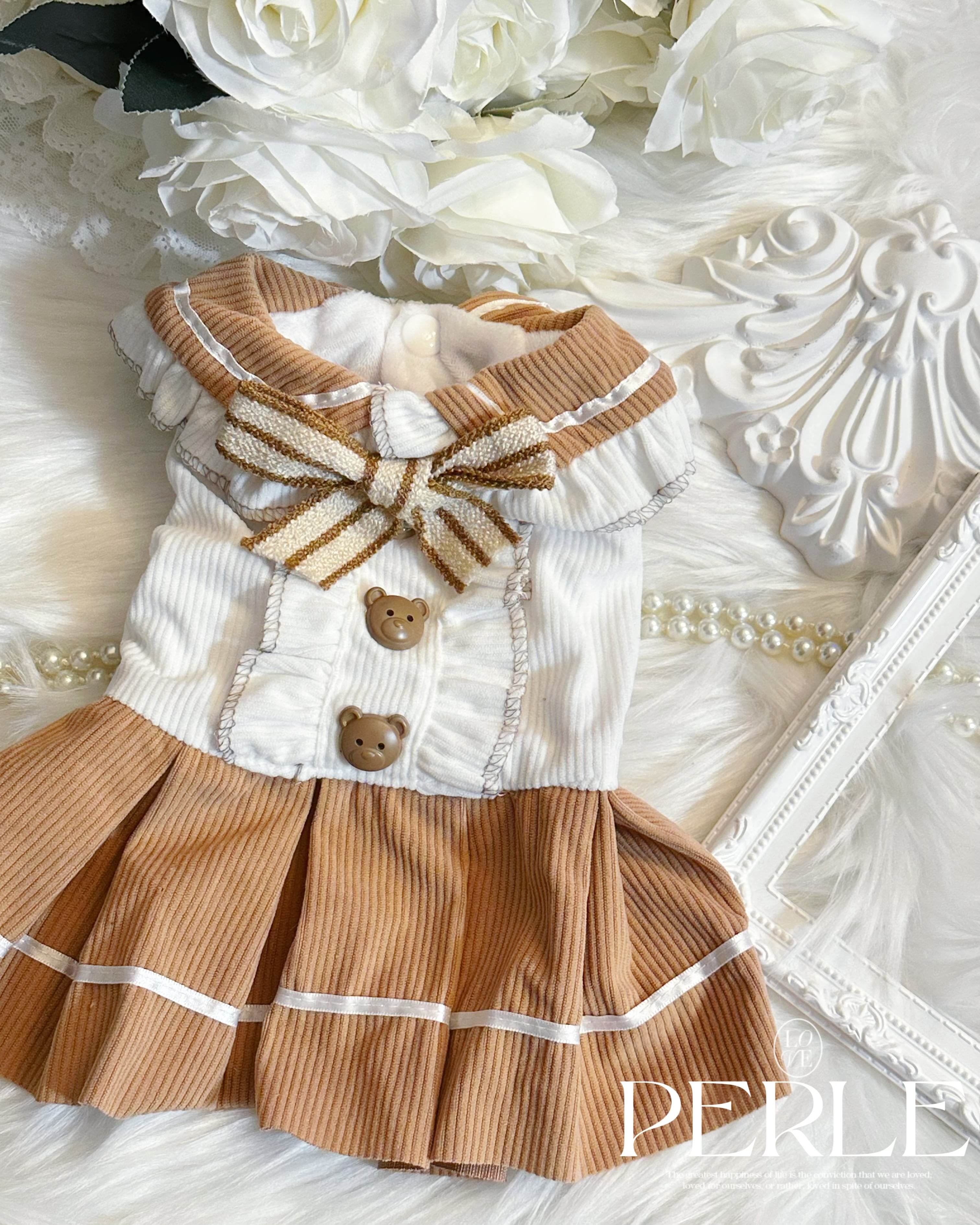Bear school mignon pet dress