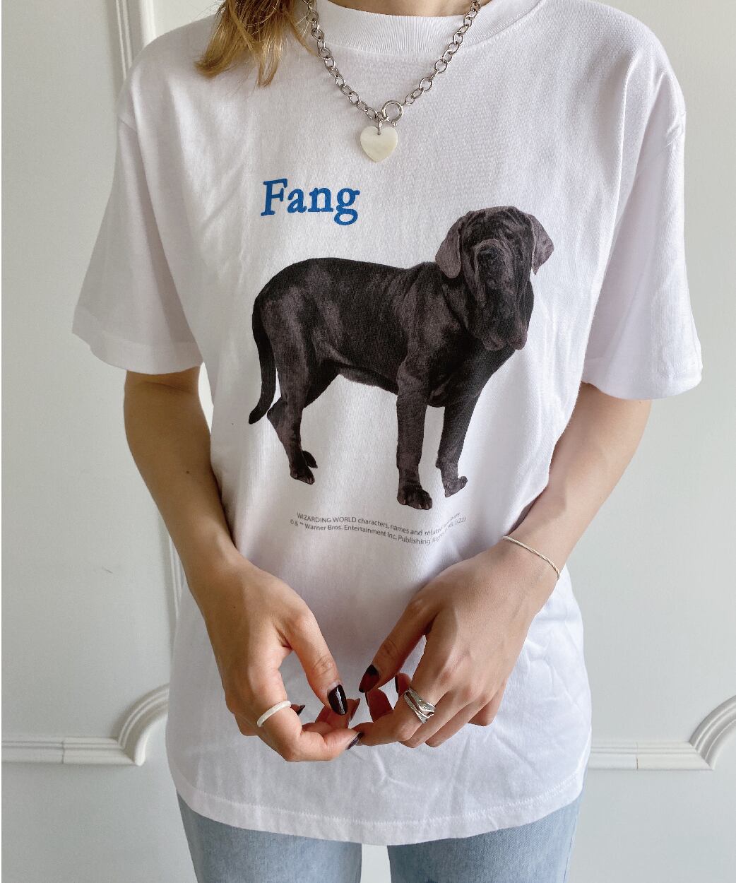 ハリー・ポッター/ファング/Tシャツ/CHHP22ST03 | charachoi