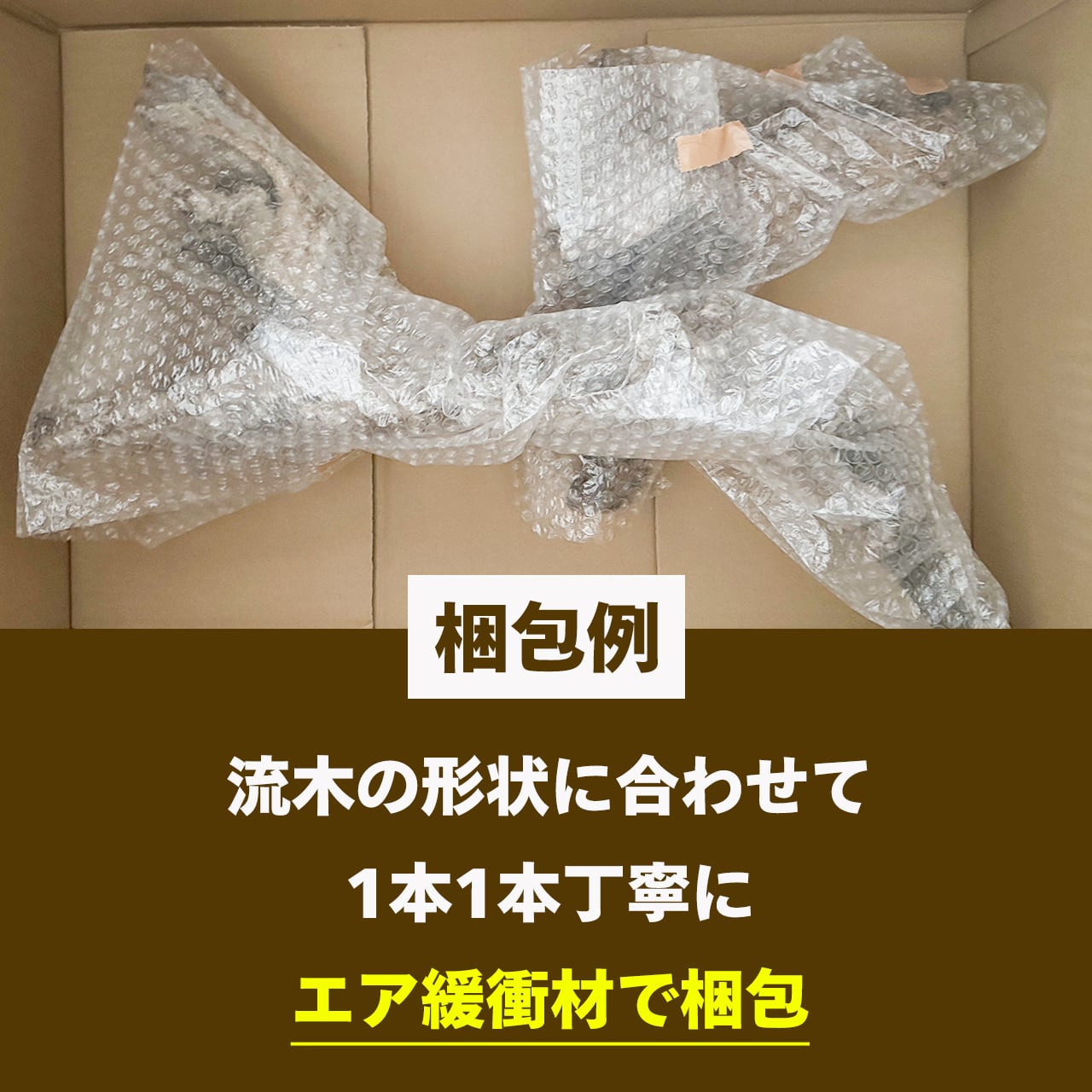 原生の力宿す孤高の流木】ディープホーンウッド/Deep Hornwood #大型