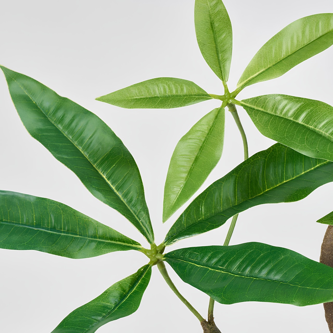ねじれミニパキラ85㎝［人工観葉植物・フェイクグリーンT］