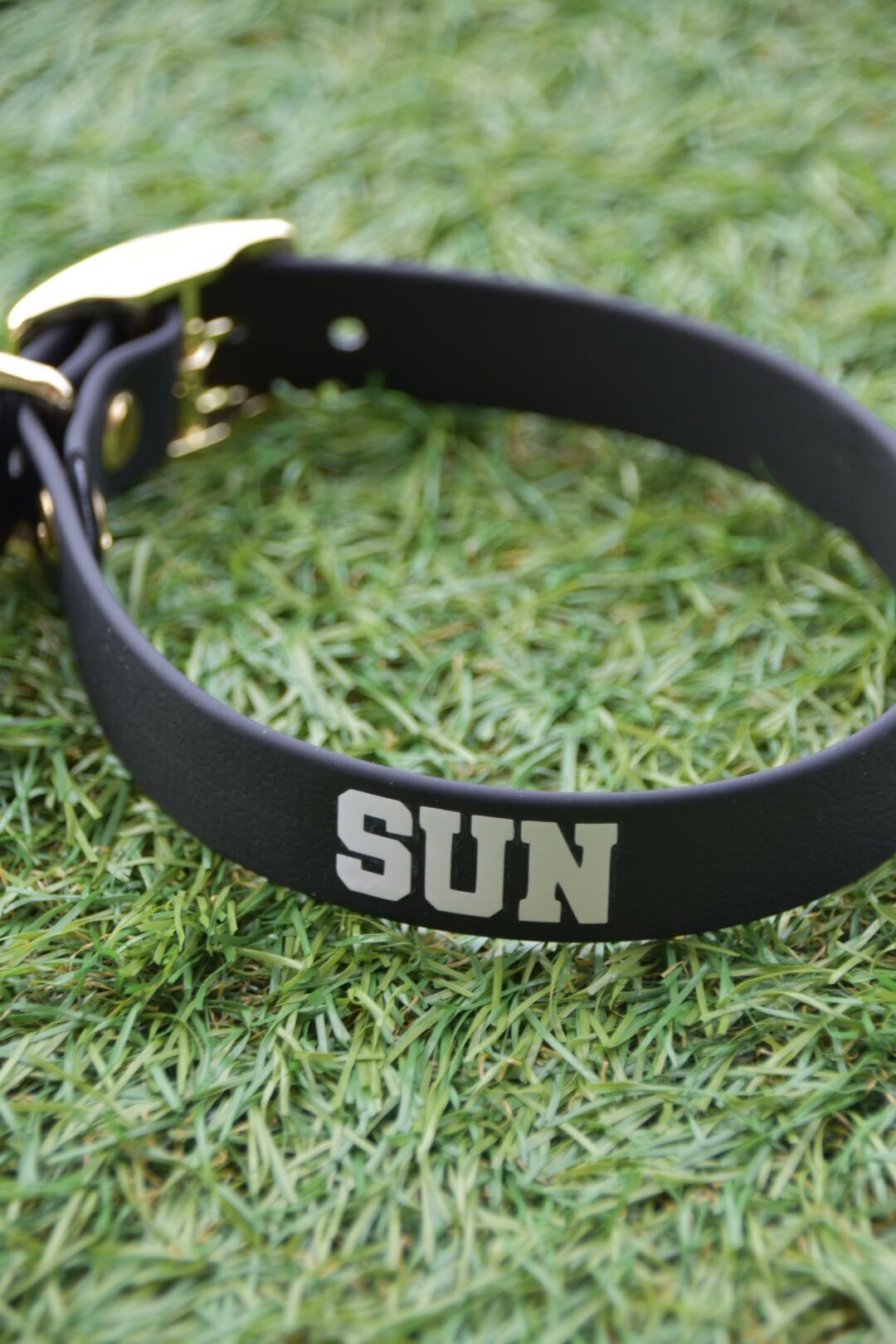 1色】防水カスタム首輪 | Aloha ilio