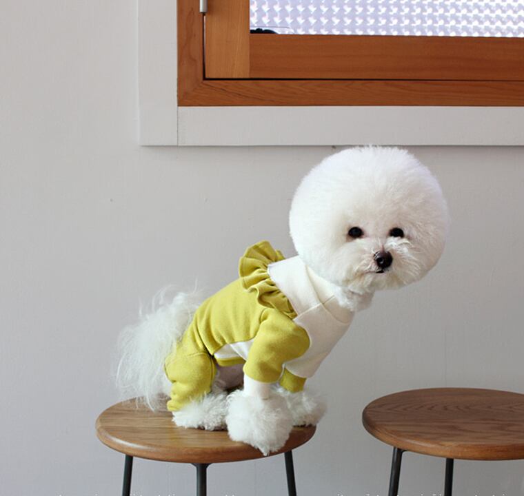 【SALE】斜線フリルオールインワン S ~ XL 2color  /  犬服 新作 オールインワン つなぎ ドッグウェア 小型犬 中型犬