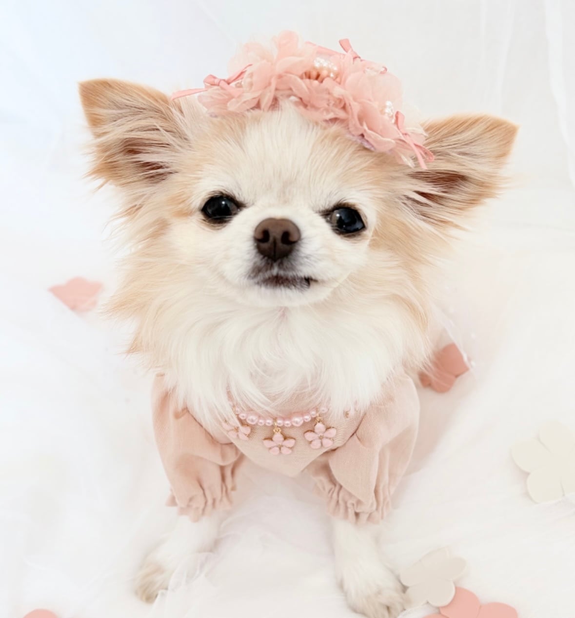 シフォンフラワーヘアバンド