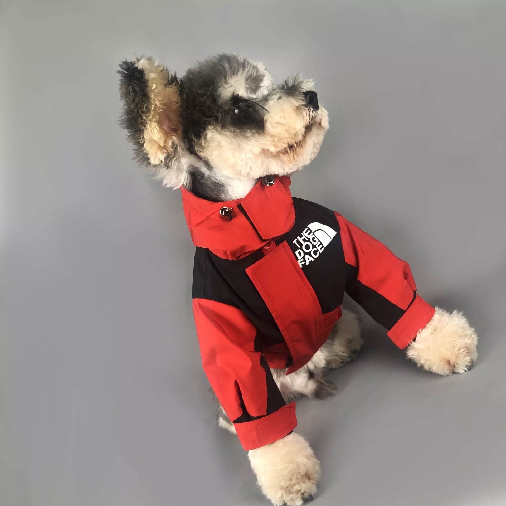 全3色　アウター　防寒　ジャケット　アウトドア　キャンプ　秋冬　犬服　ドッグウェア　ペット服　ベスト