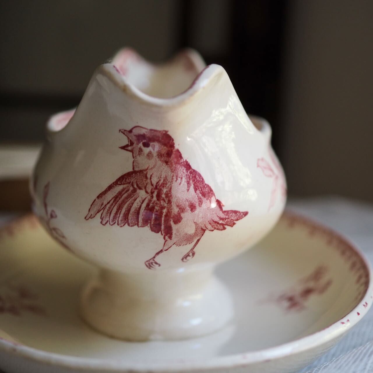 ディゴワンサルグミンヌ　Boulogne ローズ　ソーシエール ディゴワンサルグミンヌ Boulogne ローズ ソーシエール