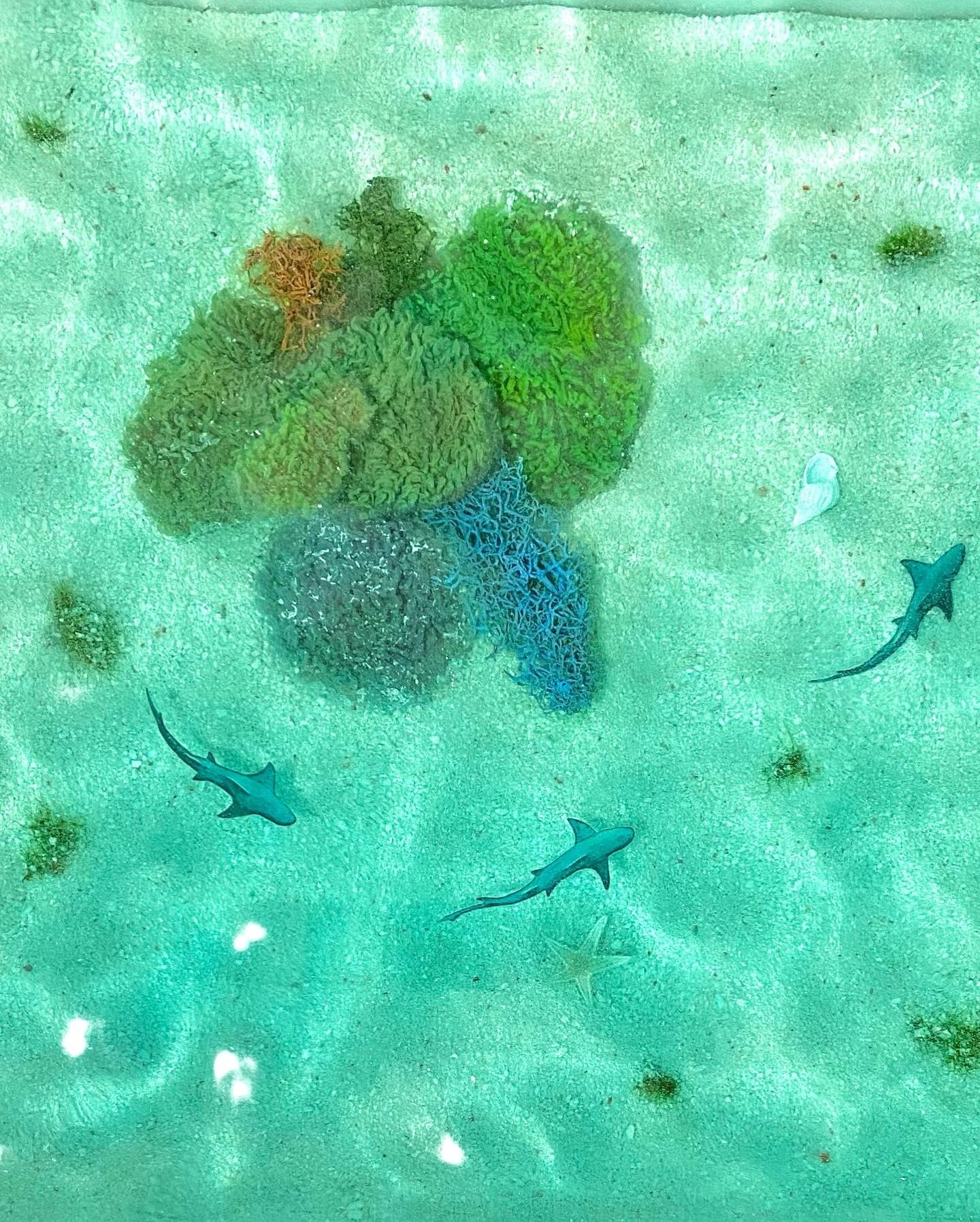 オーシャンレジンアート「リーフシャーク」20㎝×20㎝ 珊瑚、サメ、波紋