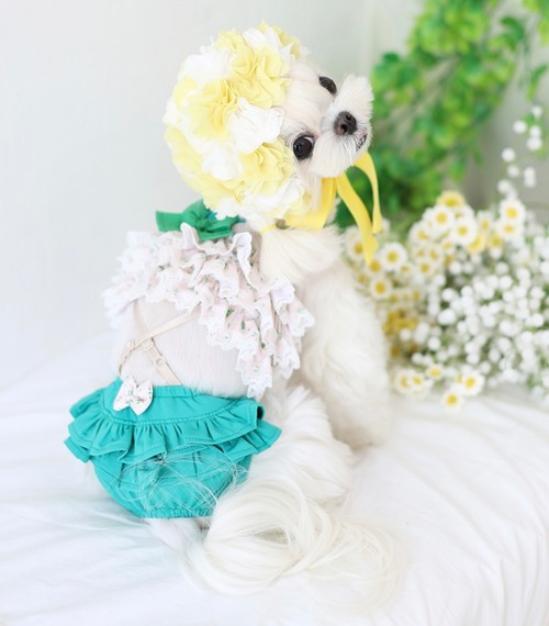 【予約】No.12  ハンドメイドビキニ