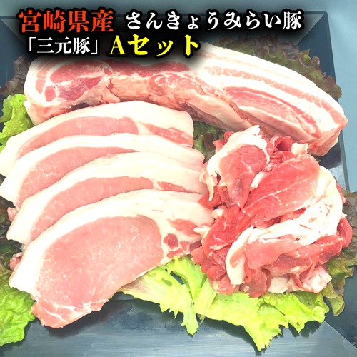 宮崎県産　さんきょうみらい豚「三元豚」　Aセット　送料無料