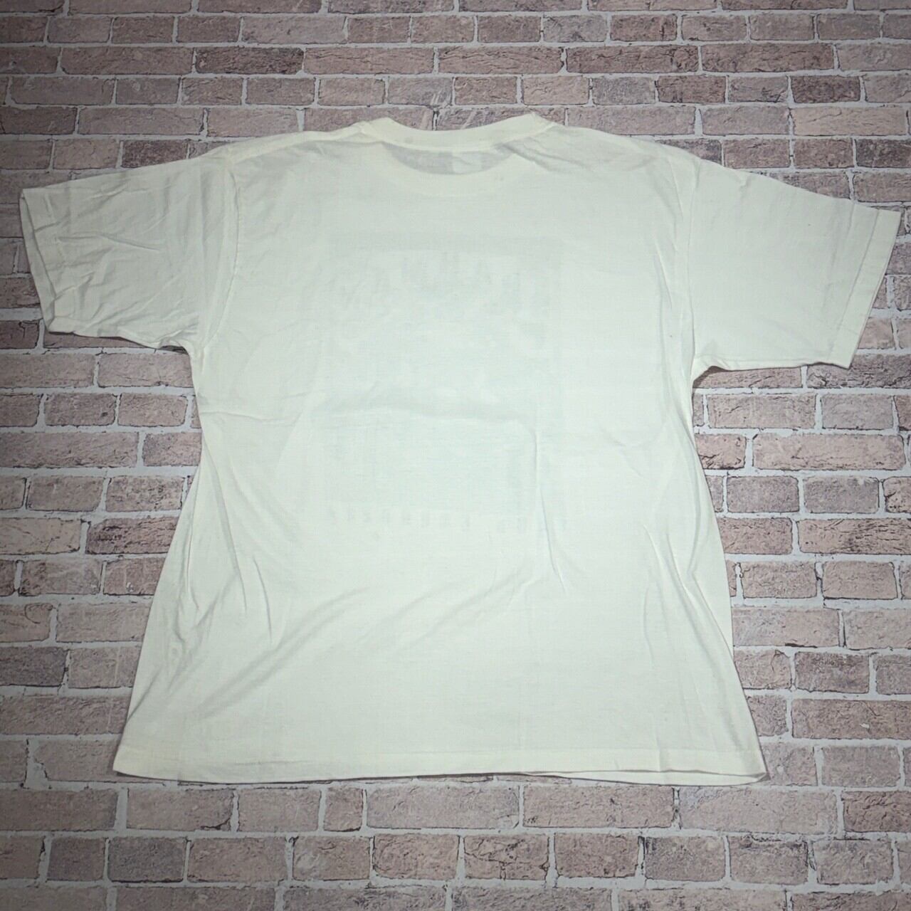 BRAHMAN T-SHIRT WHITE | safarionline