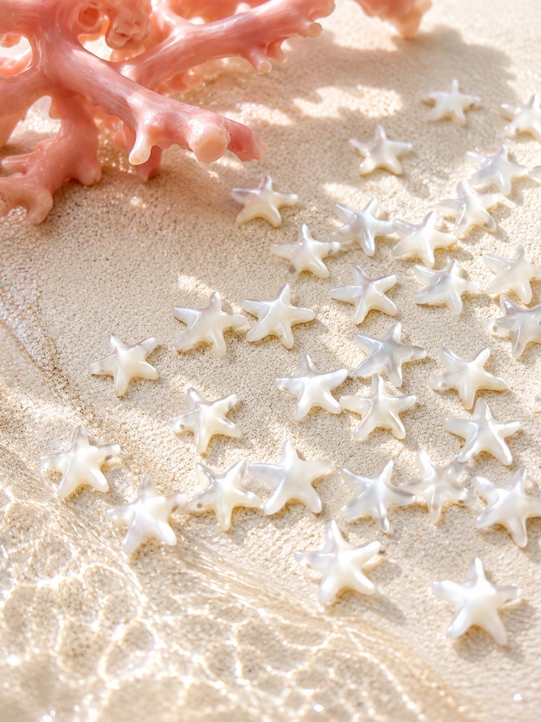 MOP star fish / ヒトデ / 10pc