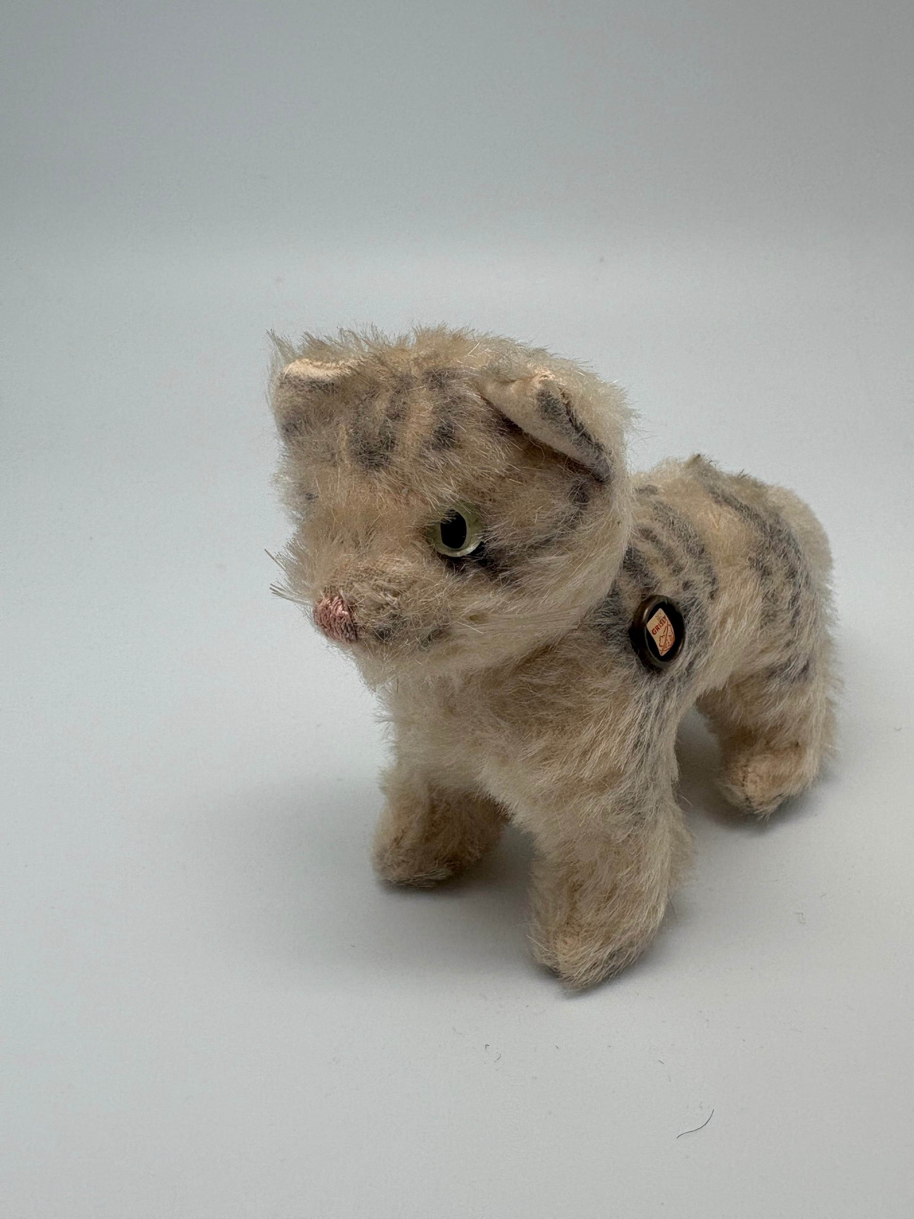 cat | ヒガシマチマーケット