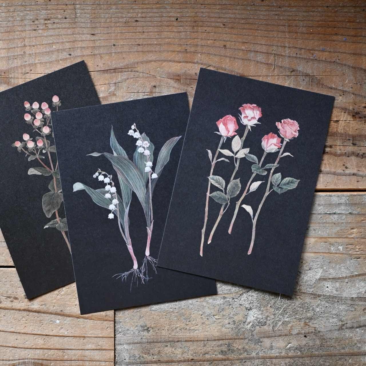 再入荷 】ポストカード sasaki megumi すずらん｜黒 はがき イラスト