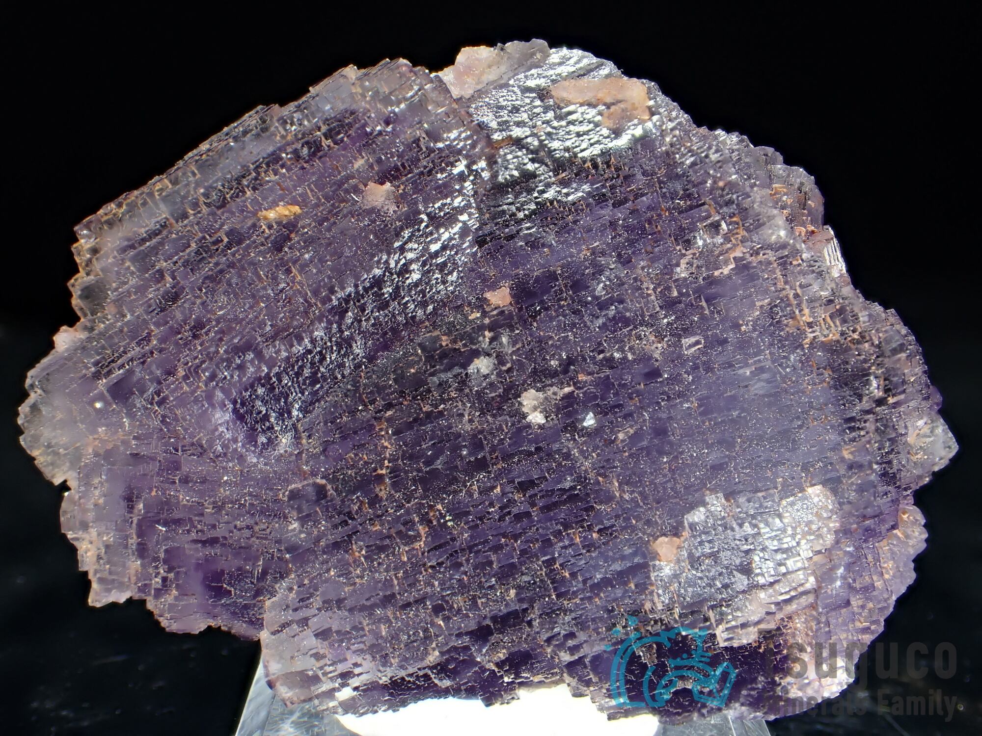 フローライト 蛍石 スペイン TM-647 Ex. Eugeni Bareche Collection