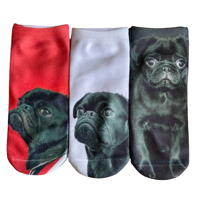 3 pair socks -black pug san-　　sk-15