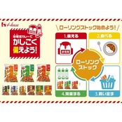 カリー屋 ハウス カレー 辛口 180g×10個 【レンジ調理対応】【レトルト食品】【非常食】