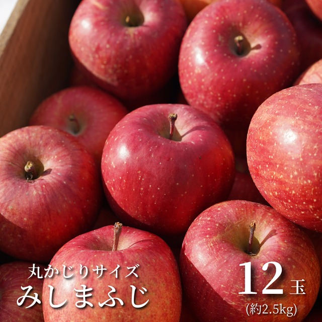 【食べきりやすい小玉サイズ】横手市平鹿町産の"みしまふじ"[12玉]