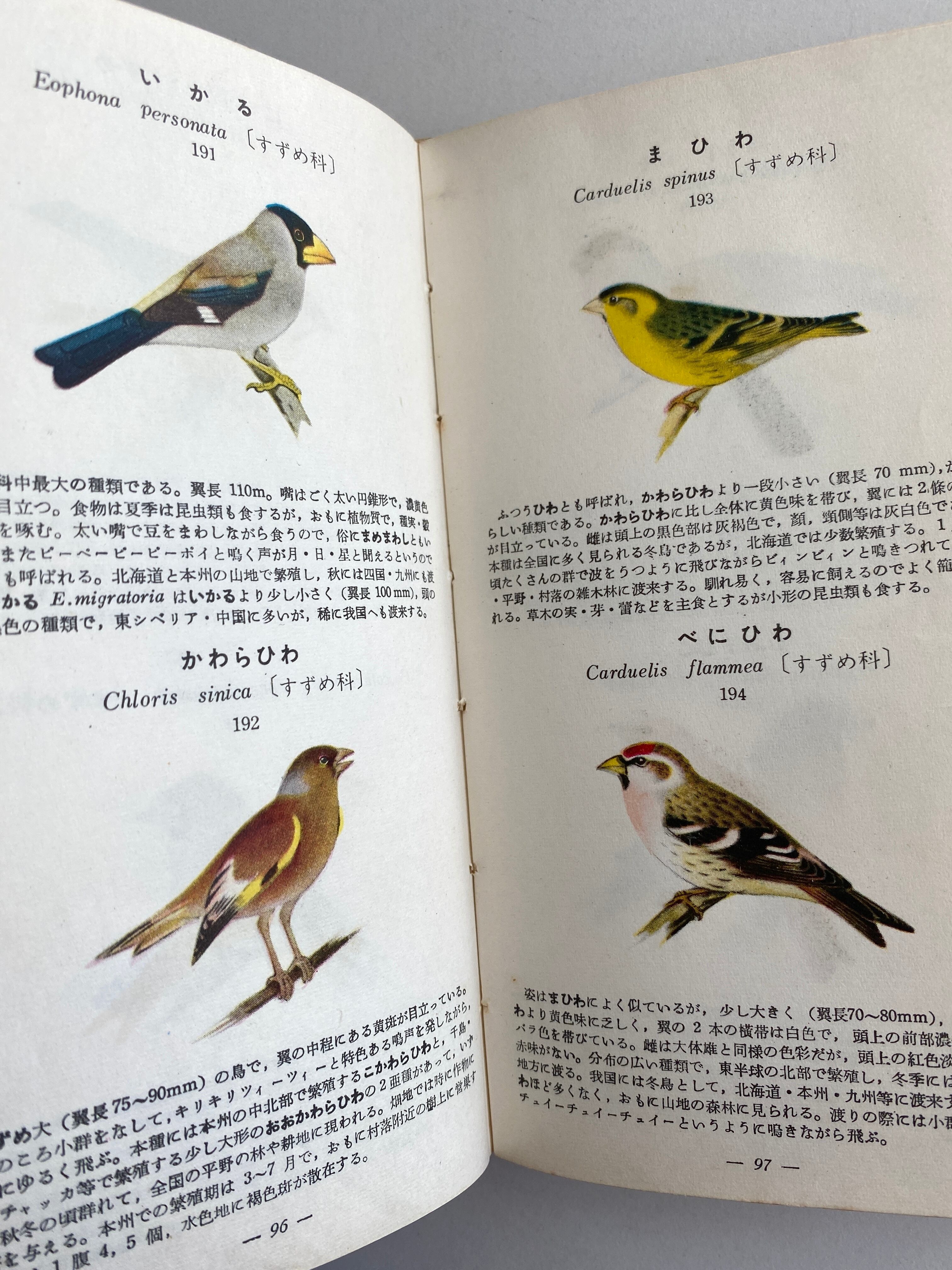 学生版原色動物図鑑（陸棲動物編）　JulyBooks/七月書房