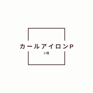 8/24 セミナー参加者限定　KPカールアイロン
