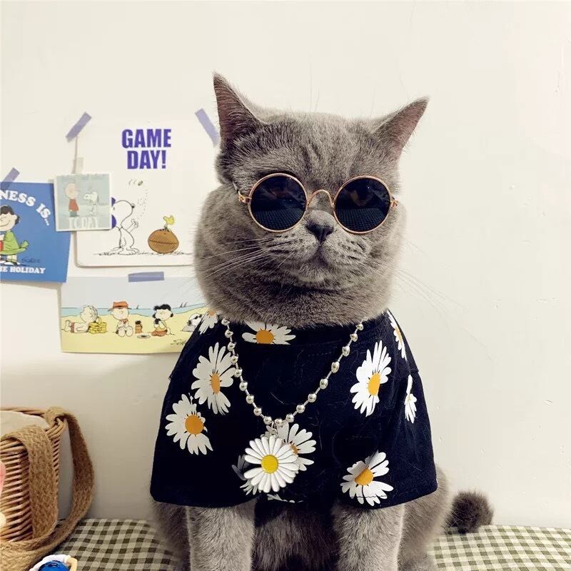 即納 1 3日でお届け 犬用 サングラス 犬の服 ペット 犬服 犬 Dog ネコ ドックウェア かわいい おしゃれ Eyes Line アイズライン 犬服 ドッグウェア
