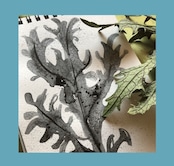 “画集のようなカレンダー2026年” 2冊セット