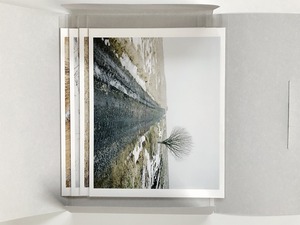 Wintertag | Foot of Mt. Fuji  8x10 Set of 4 prints