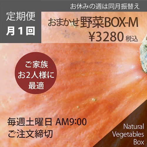 【月1回】おまかせ野菜BOX - Mサイズ