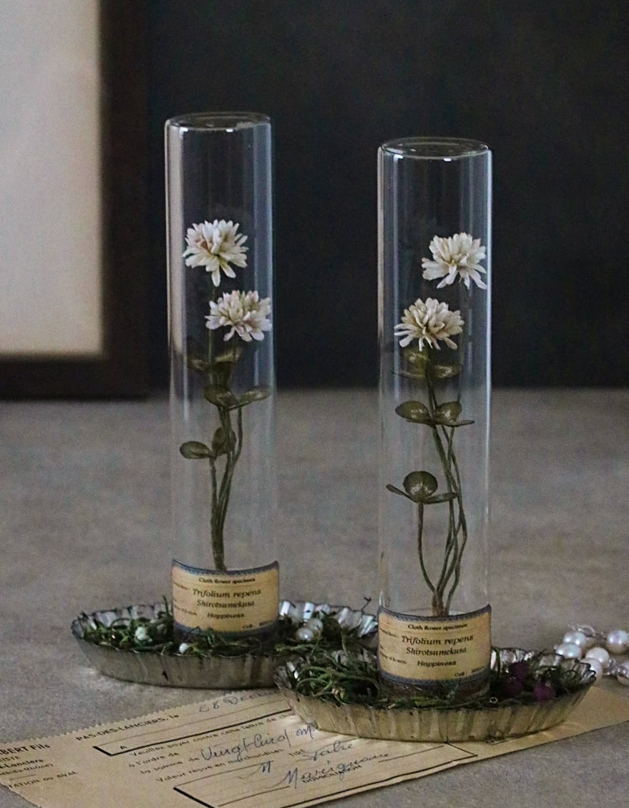 作家 雑貨 | teshigotoya ねむの木の豆