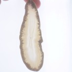 Snowmelt Forest 02 - アゲートヒーリングチャイム / Agate Sun Catcher Wind Chime 398