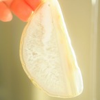 Sea Creatures 06 - アゲートヒーリングチャイム / Agate Healing Chime 1102