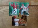 新井貴浩 RC&銀箔&インサート 1999/2015/2016 BBM