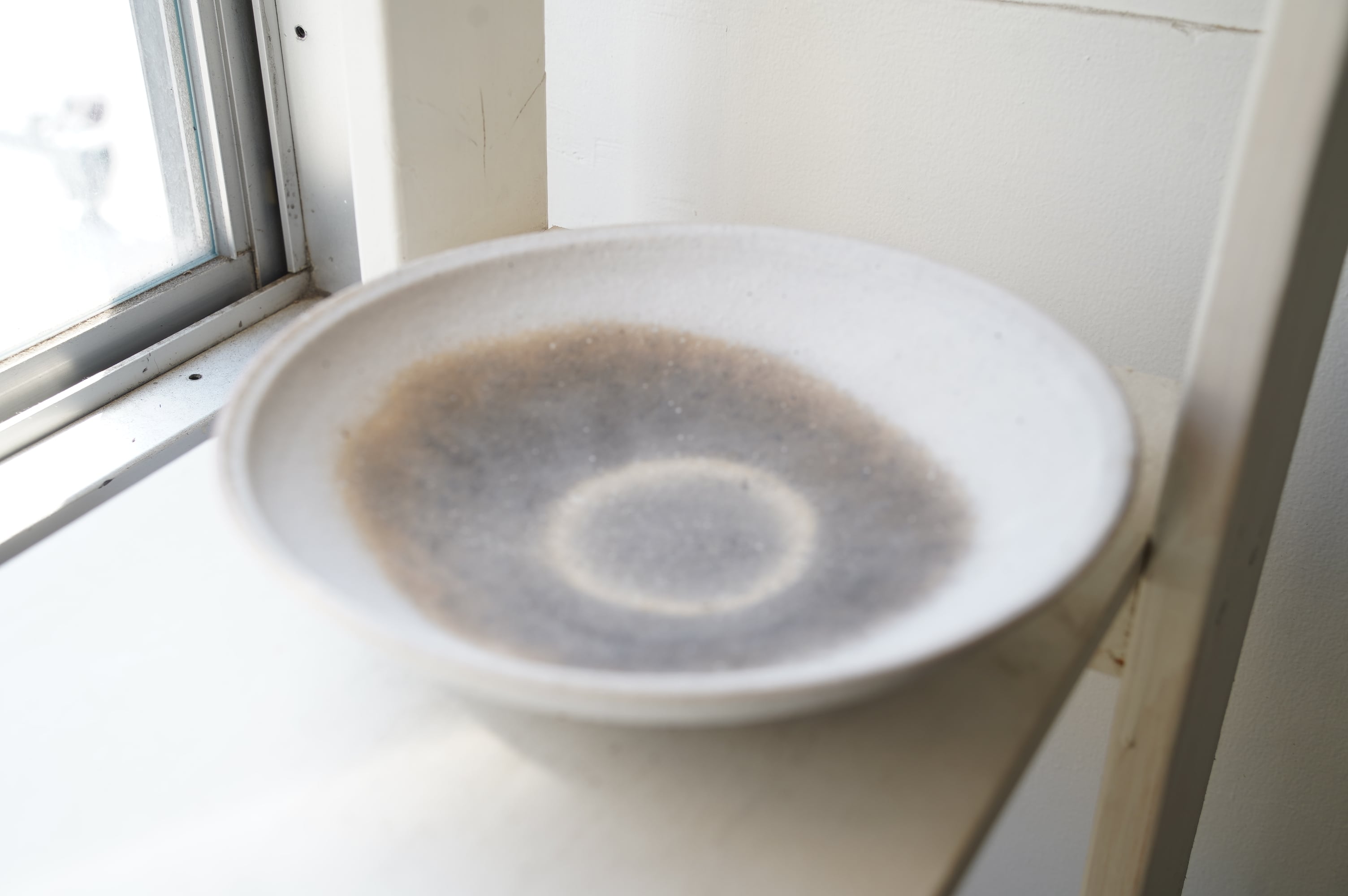 31 籾殻炭化 七寸鉢 中根楽 1