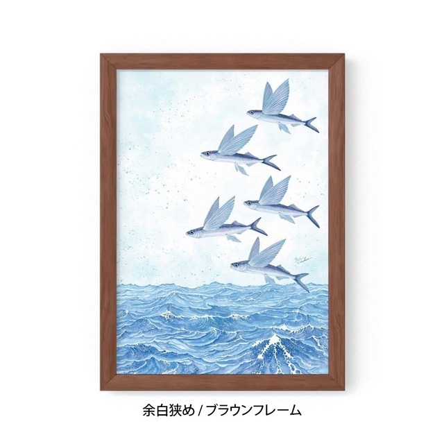 A4｜魚翔海図（ぎょしょうかいず）（フレームあり）