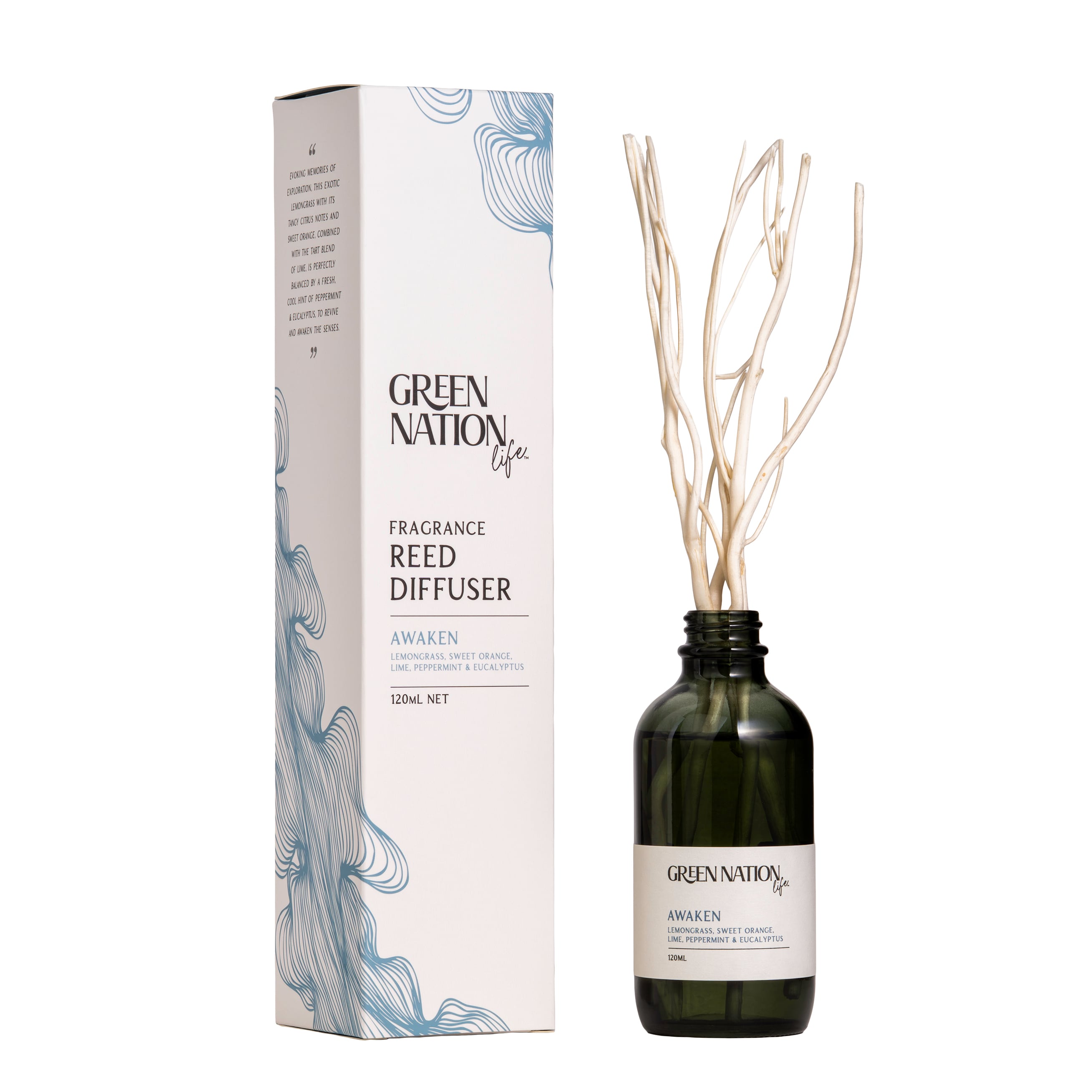リードディフュザー120ml ブリス（ブラックベリー＆パチョリ）GN020300