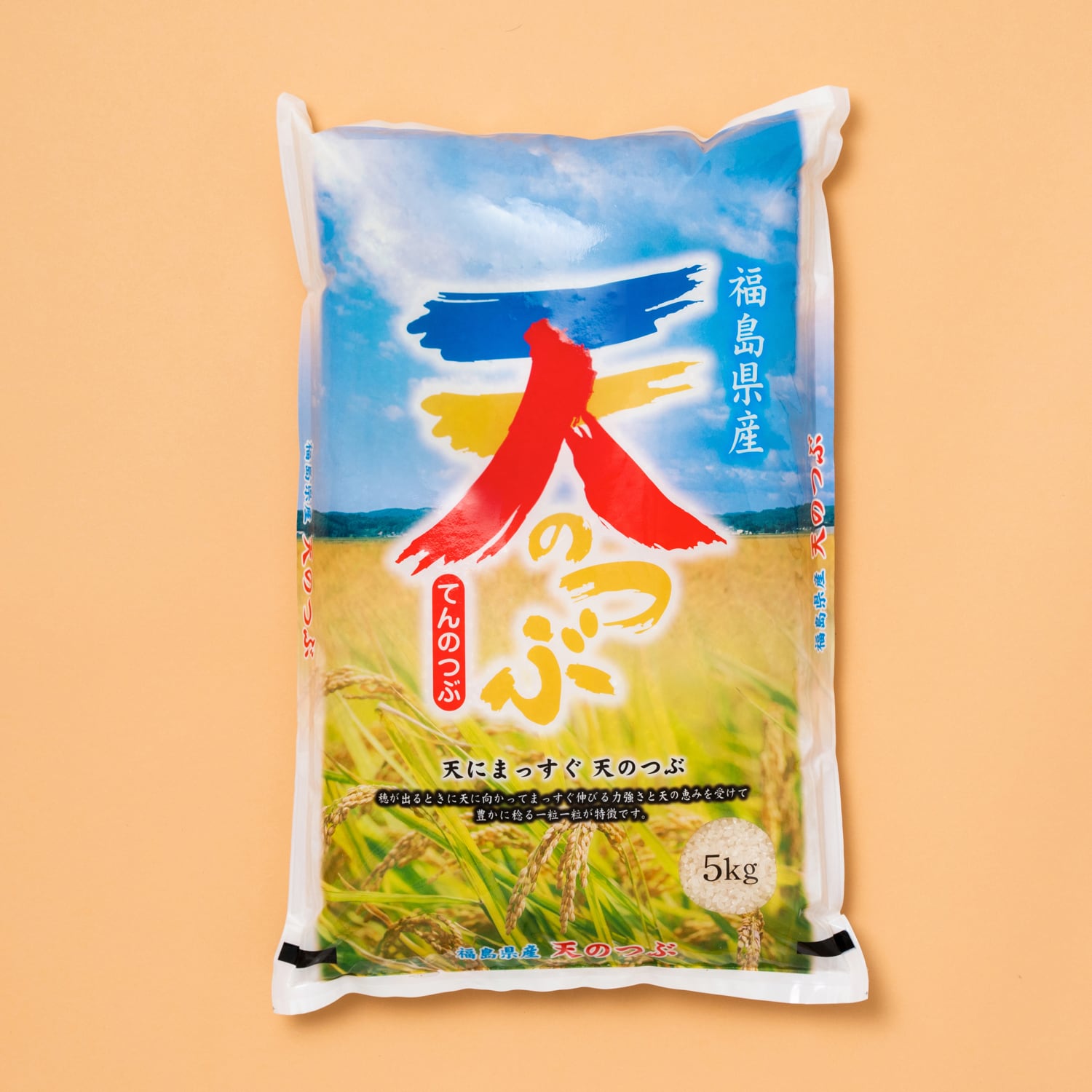 令和6年度福島県産一等新米天のつぶ（10kg）×3 令和6年度福島県産 一等米天のつぶ玄米（10kg） 令