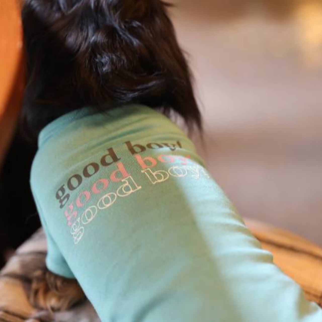 GOOD BOY （Tシャツ） | カニンヘンダックスとミニチュアダックス専門