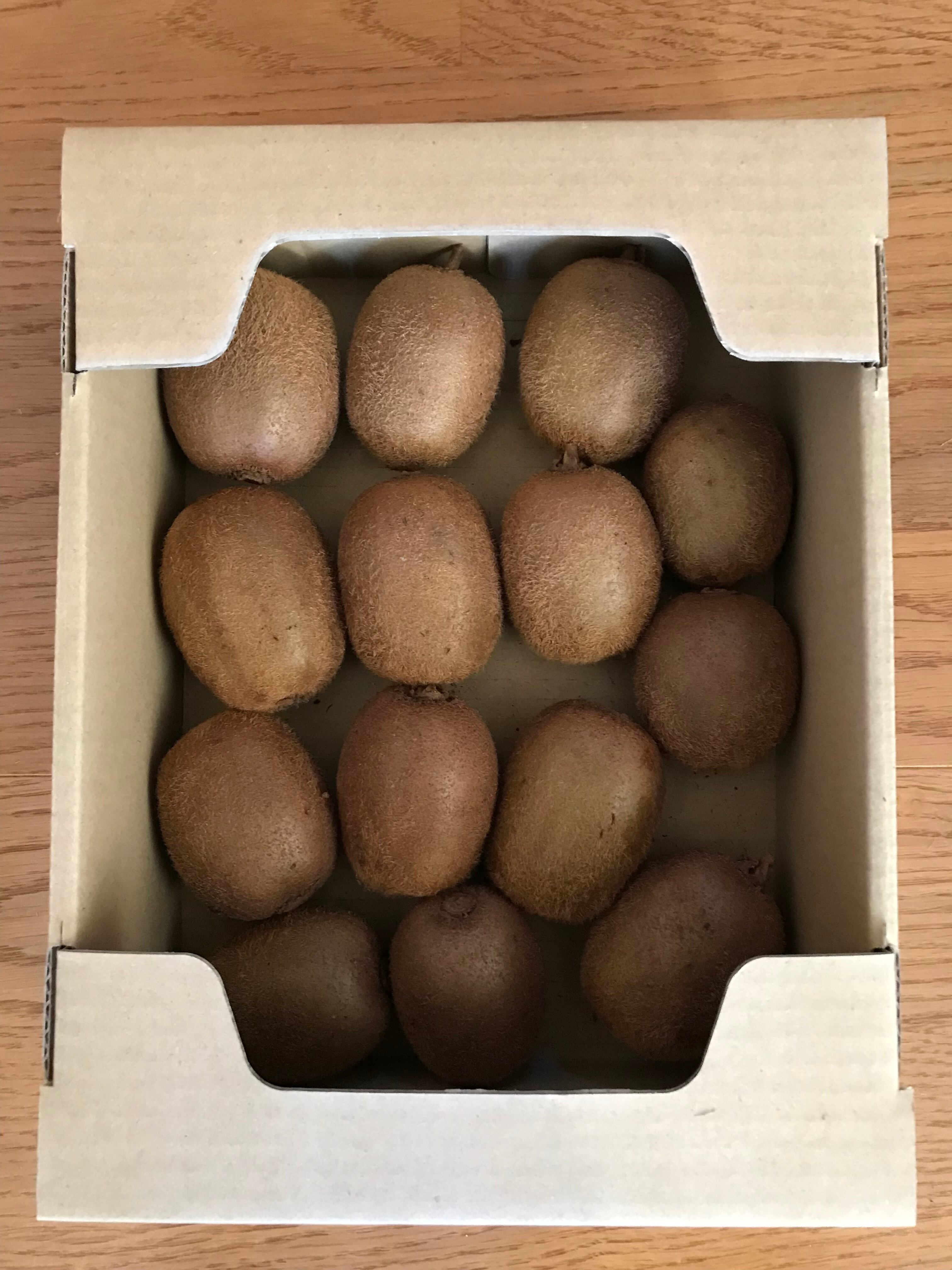 キウイ様2点 7年目にして初めての立ちポーズ！毎年、SNSで話題沸騰の【数量限定