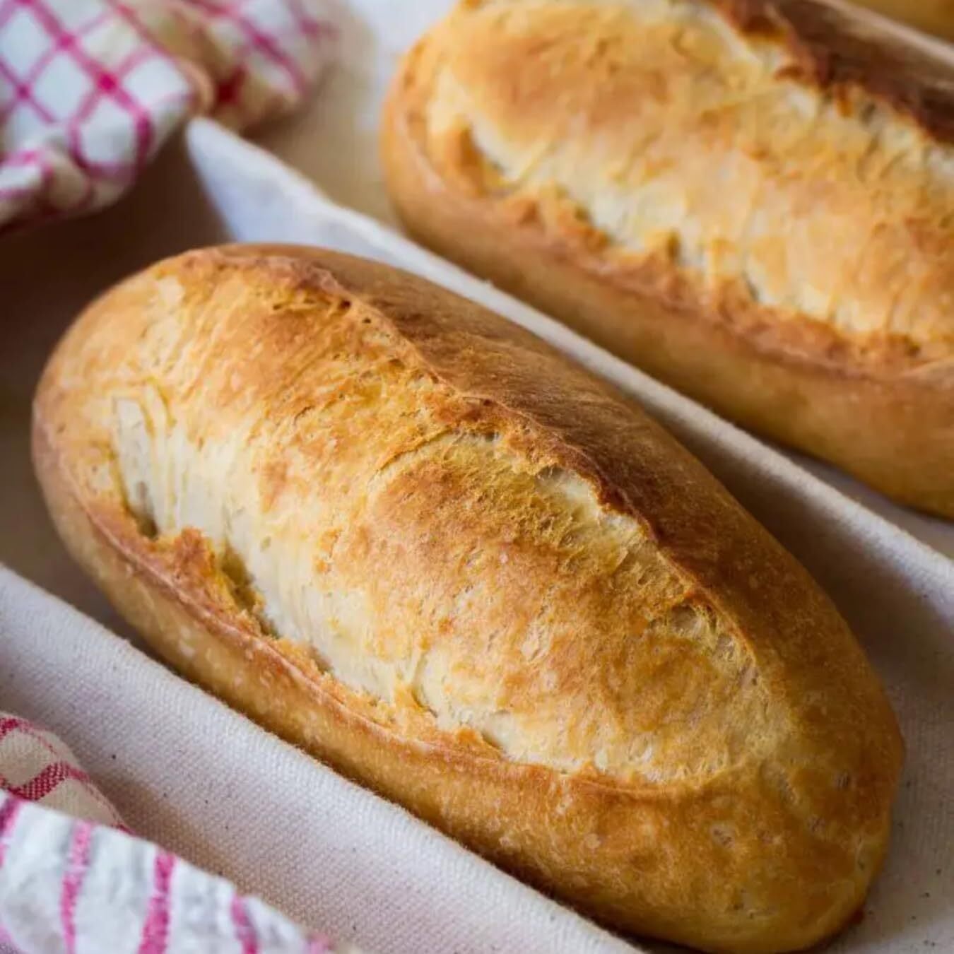 半焼成 冷凍パン プチパン 35g×10個 クッペ フランス産 100% French