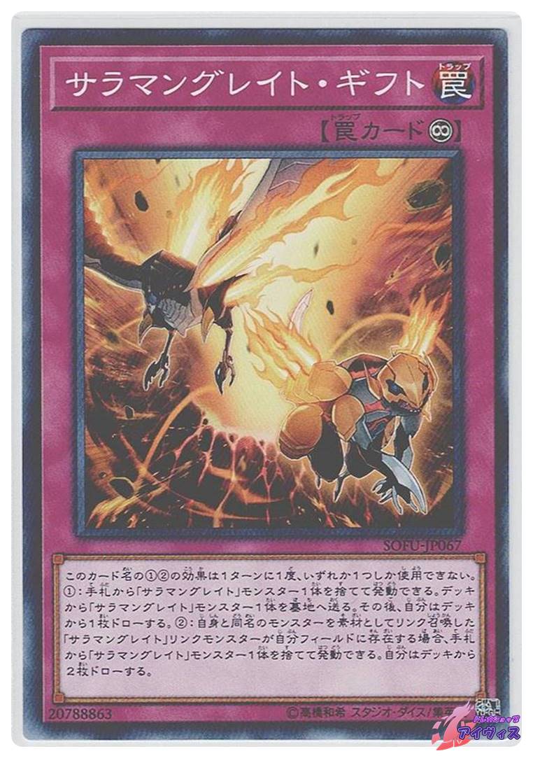 ANQ006【JP】『RF』【Generic】フィエンダルの春のチュニック
