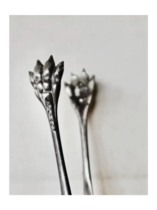 フランス 獅子爪と薔薇とシュガートング  獣足 シルバープレート アンティーク