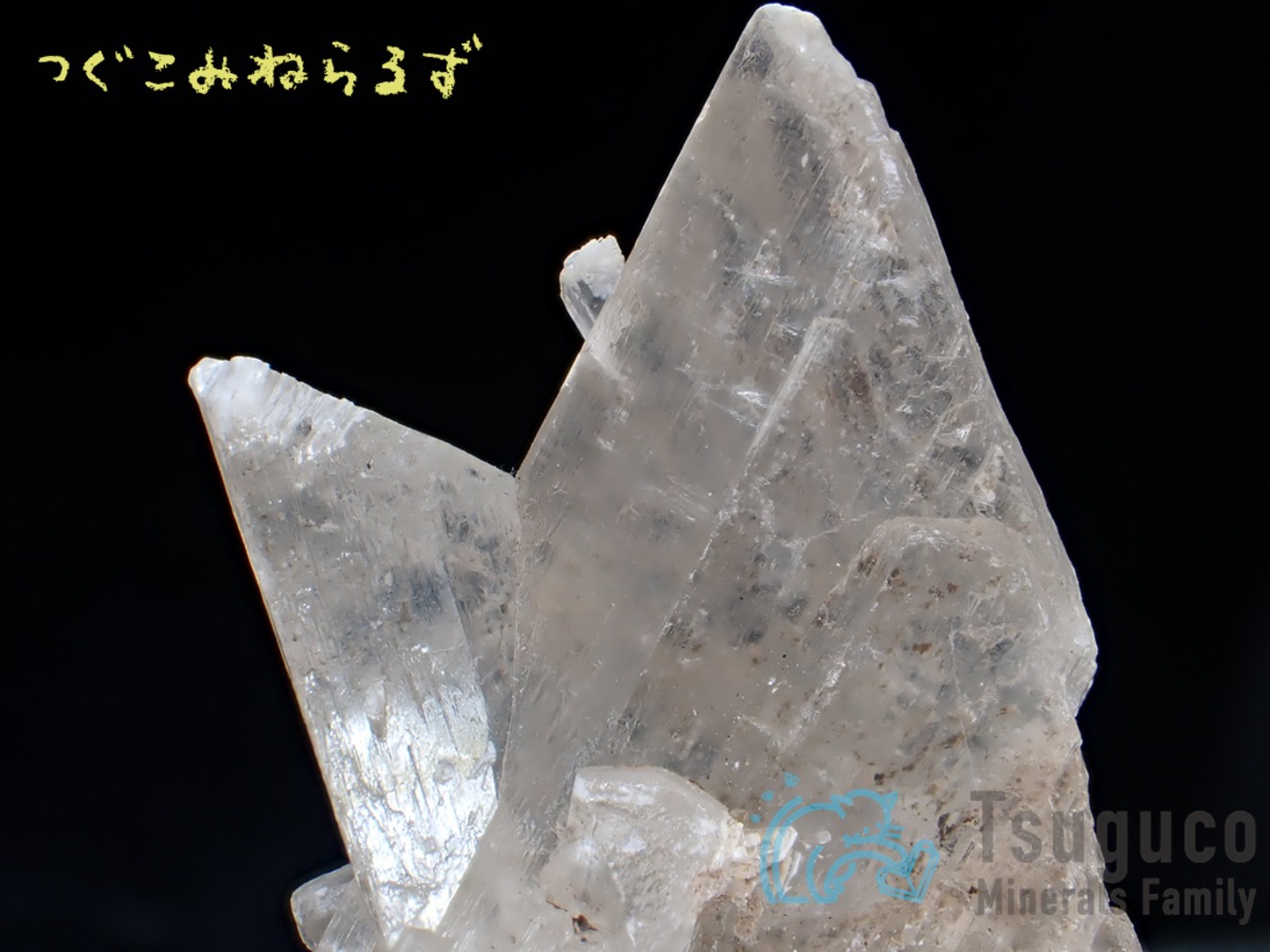 ジプサム 石膏 ハンガリー TM-965 | つぐこみねらるず ｜鉱物・原石 