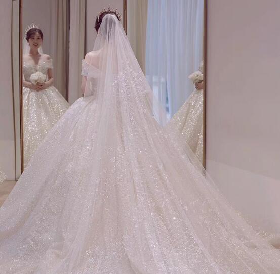 高級チュールレース ロングトレーン ウエディングドレス｜ハイネック