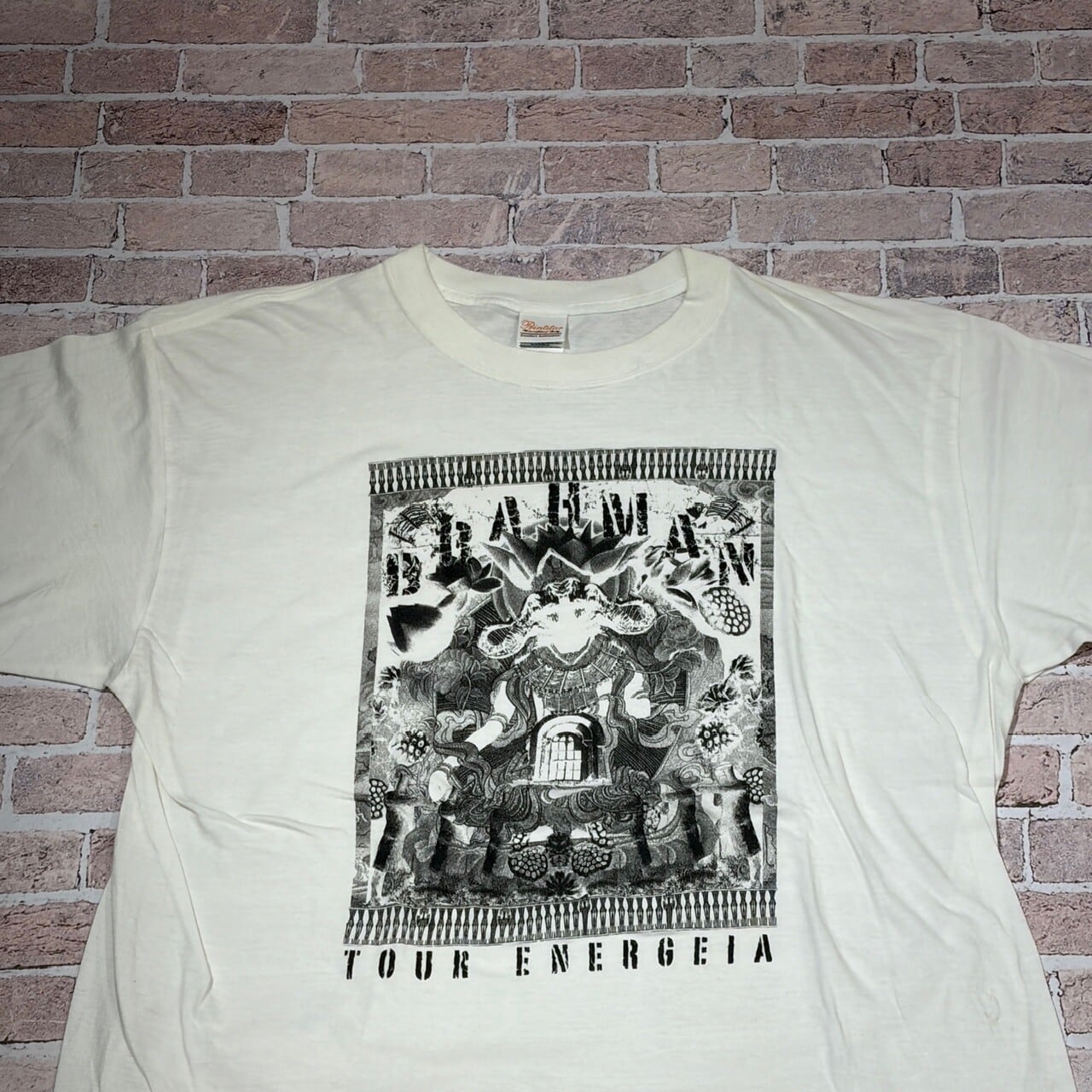BRAHMAN T-SHIRT WHITE | safarionline