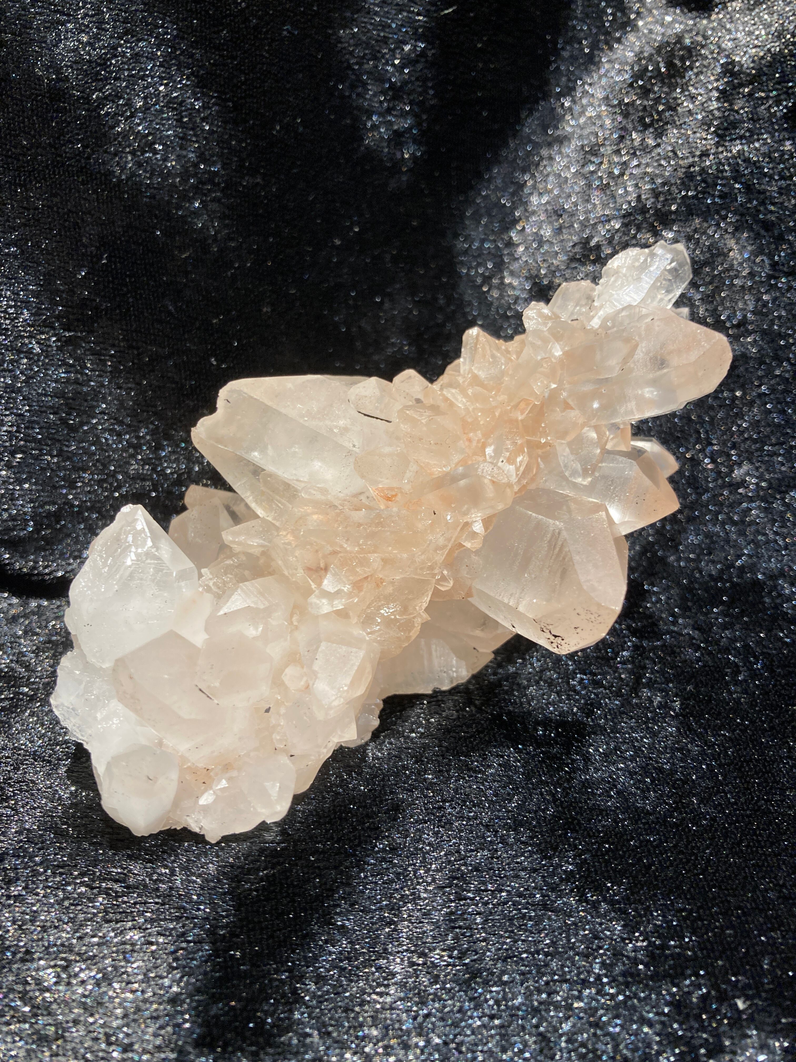 レインボー・シヴァ