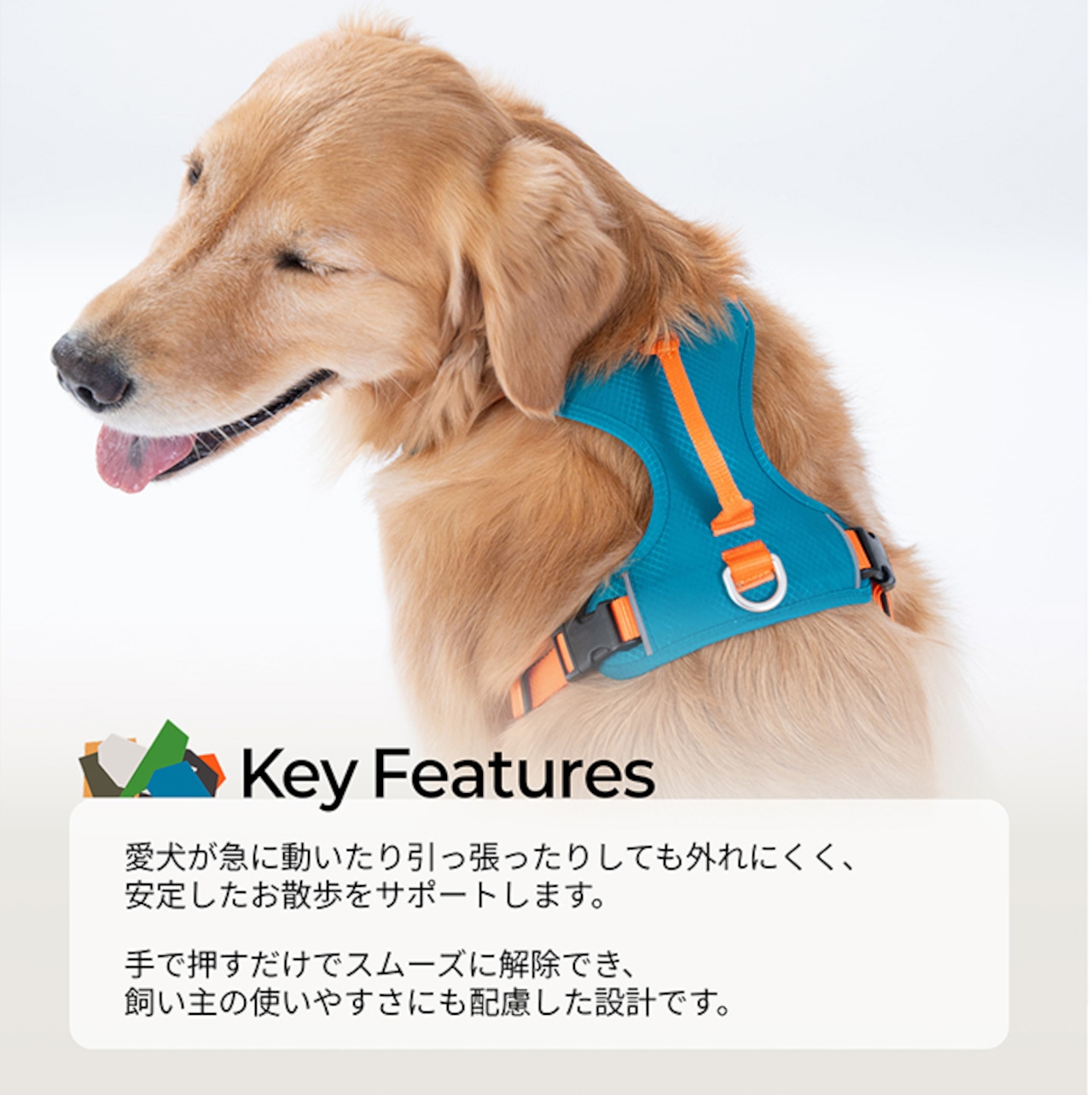 ※予約【puppygallery公式】Go ｍentum harness 　XS　