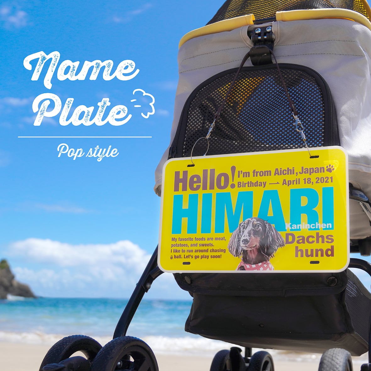 カート ネームプレート 〈ポップstyle〉 | ひまわんギャラリー