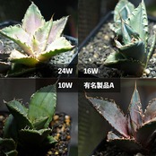 LEDライト 小型AS型 16W 電球色 ブラック