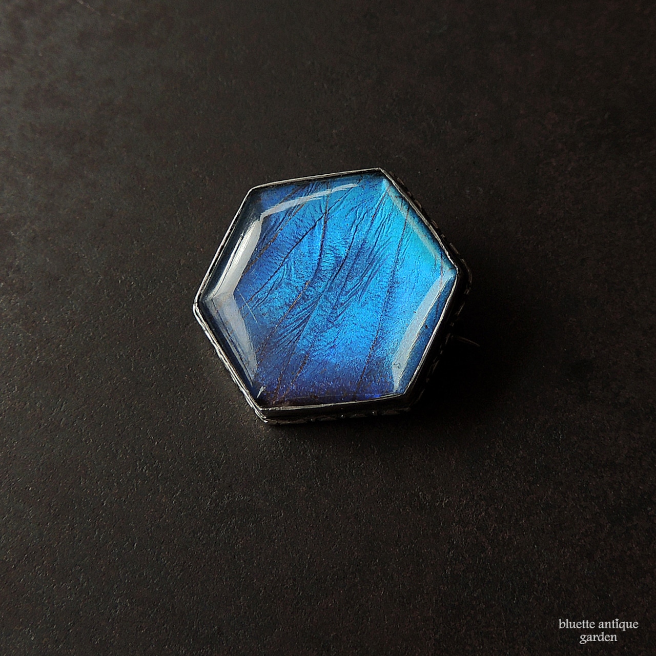 アンティークジュエリー シルバー モルフォ蝶 ブローチ(ヘキサゴンタイプ)