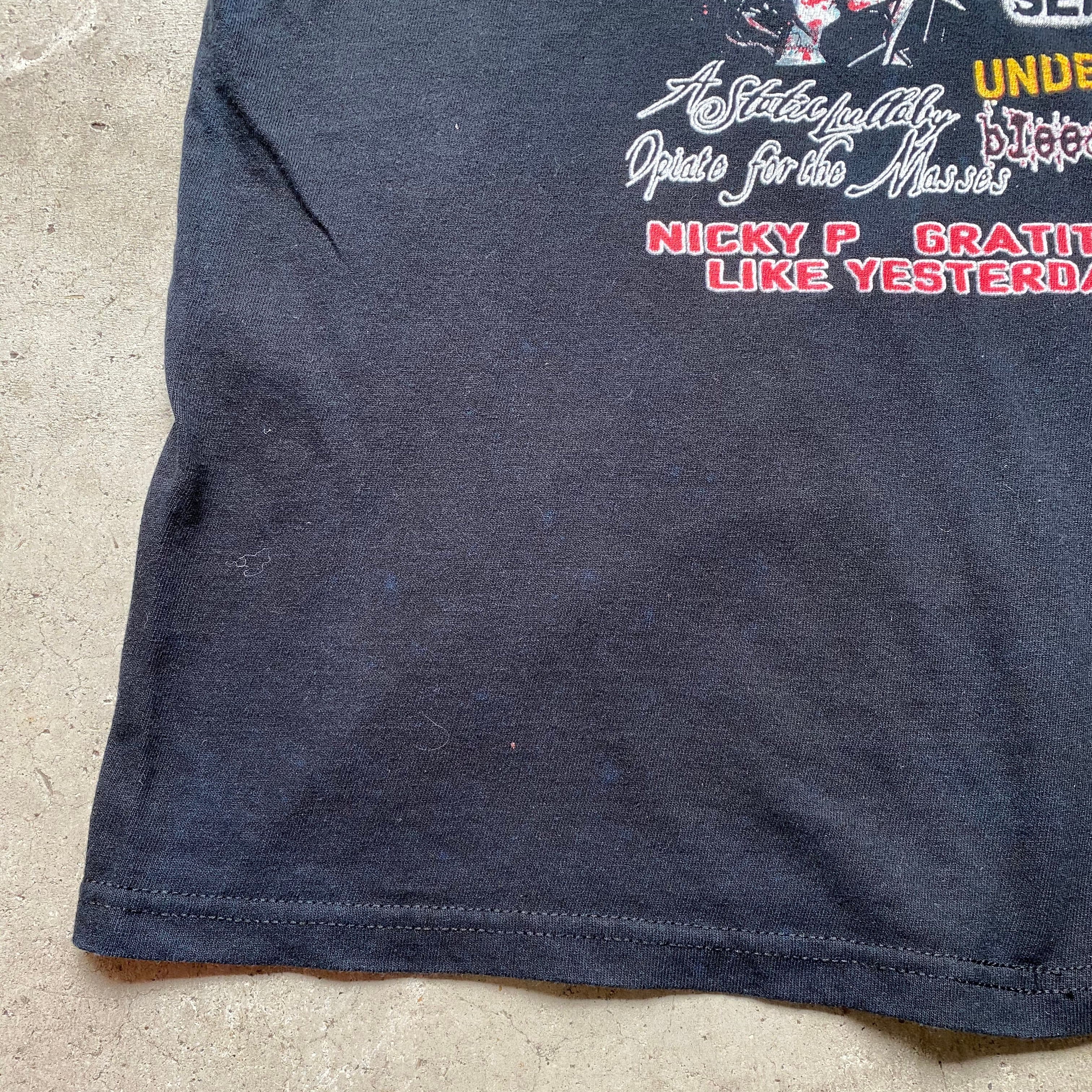 taste of CHAOS 2005 フェス ツアー バンドTシャツ メンズXL 古着 【T